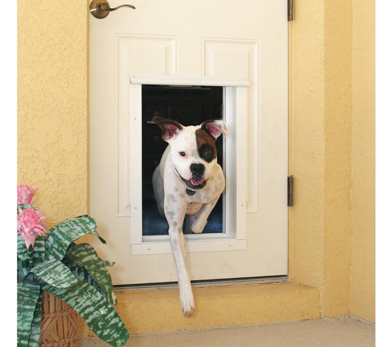Petsafe Freedom Aluminum Pet Dog Door – Mounts In Door, Multiple Sizes Available (Authorized Retailer)